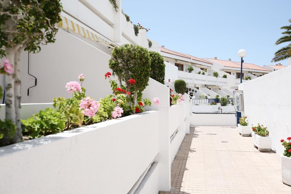 Club Olympus In Garden Apartamento Playa de las Américas